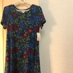 Lularoe Carley dress.